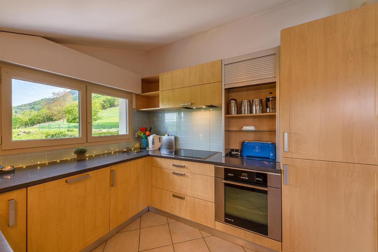 L'Hermitage, spacieux appartement avec vue et piscine by LocationlacAnnecy, LLA Selections Talloires Extérieur photo